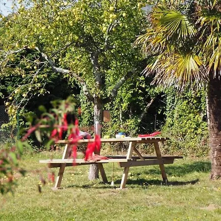 Le Bois Aux Ecureuils